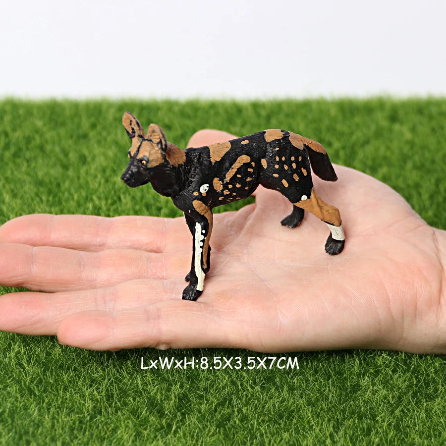 Realistic Plastic Wildlife Hyena,Maned Wolf,African Wild Dog Toy Hand Painted Figurine for Collection Science Educational Prop - Image 12